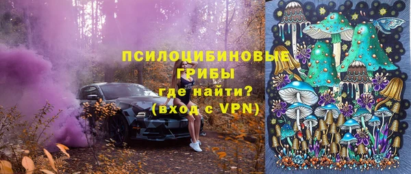 ГАЛЛЮЦИНОГЕННЫЕ ГРИБЫ Алексин