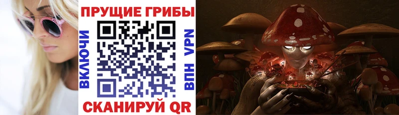 Псилоцибиновые грибы GOLDEN TEACHER  наркошоп  блэк спрут ССЫЛКА  Анапа 